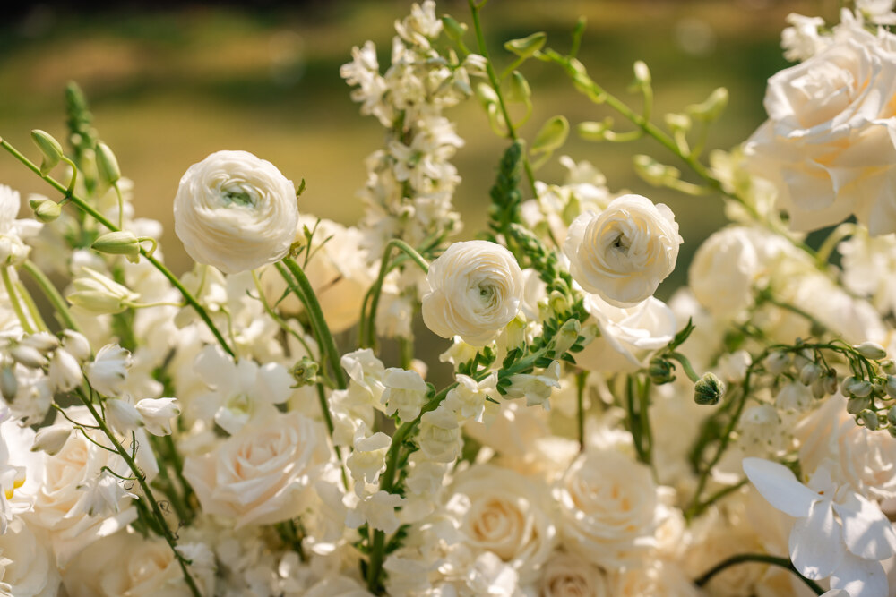 Close-up of ivory roses and ranunculus with delphinium